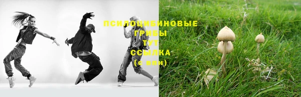 скорость Ельня