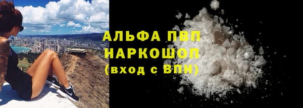 скорость Ельня