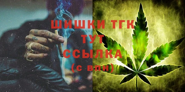 сатива Елизово