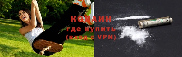 сатива Елизово