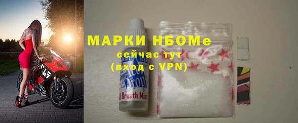 сатива Елизово