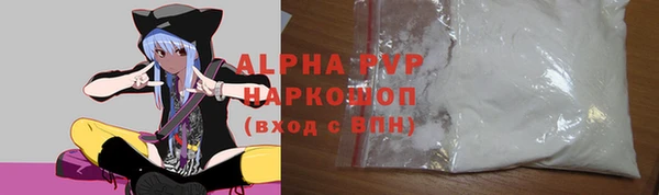 скорость Ельня