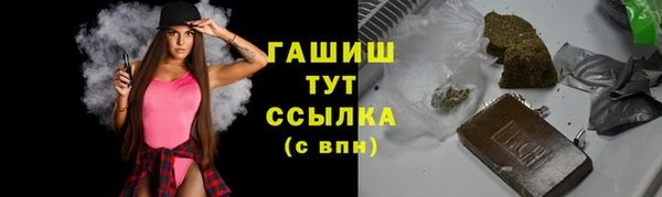 сатива Елизово