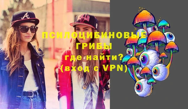 сатива Елизово