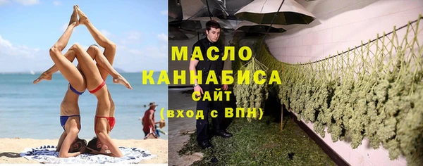 сатива Елизово