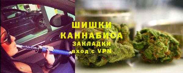 скорость Ельня