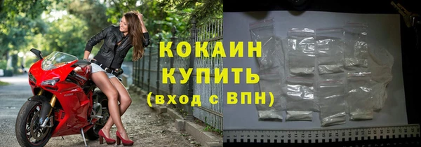 сатива Елизово