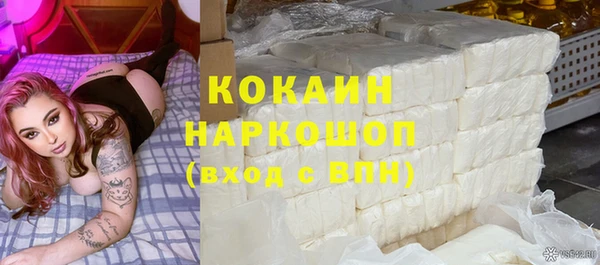 сатива Елизово