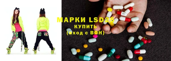 мяу мяу мука Елабуга